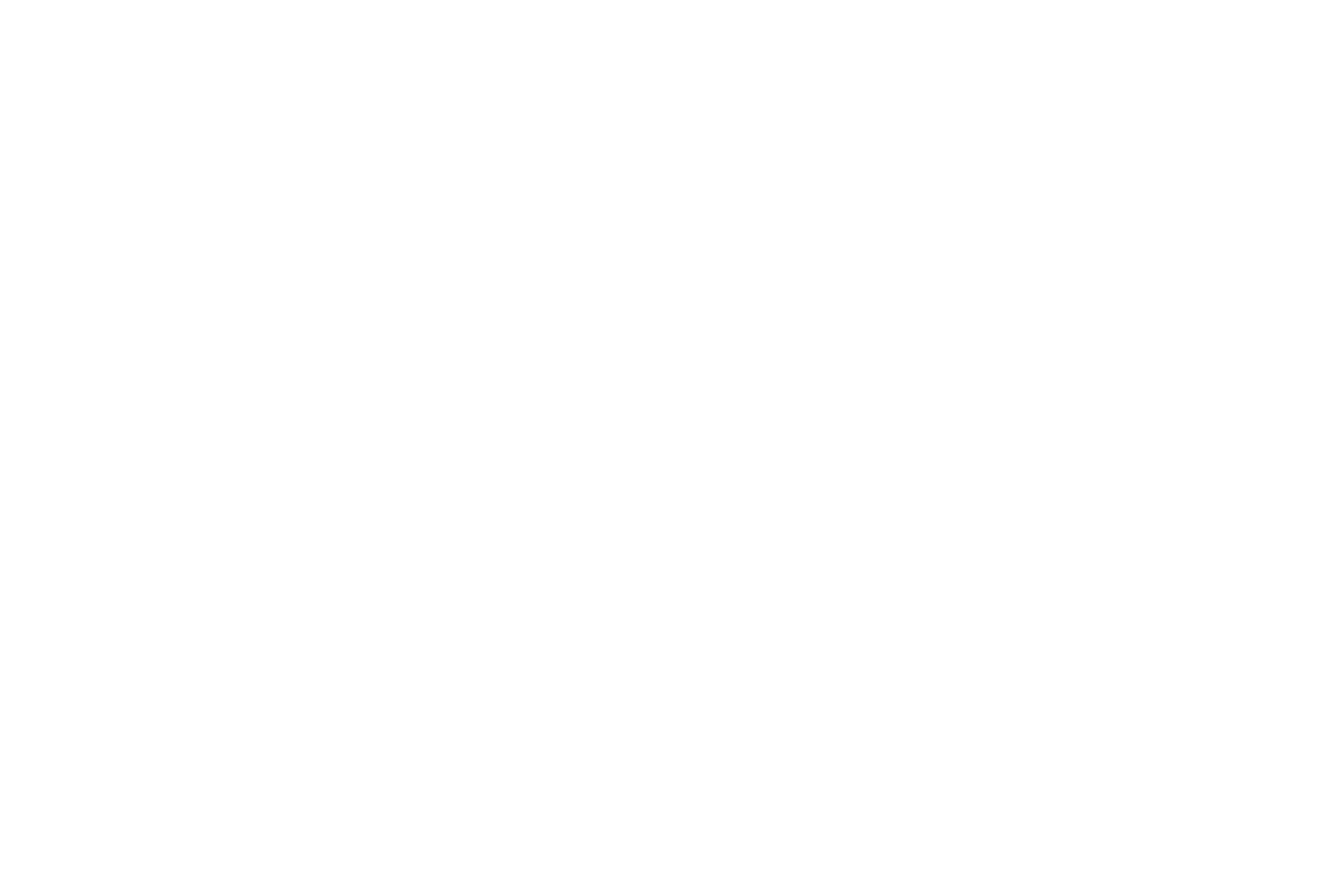Nicholas-Micalizzi